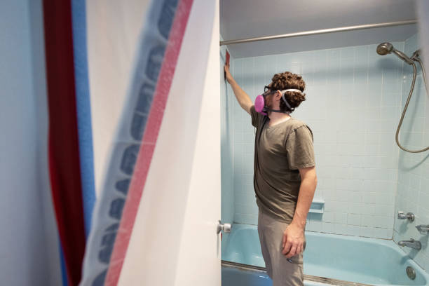 Five Forks, SC Mold Removal Company