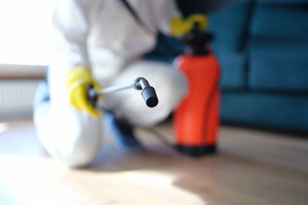Best Comprehensive Air Testing for Mold Contaminants  in Five Forks, SC