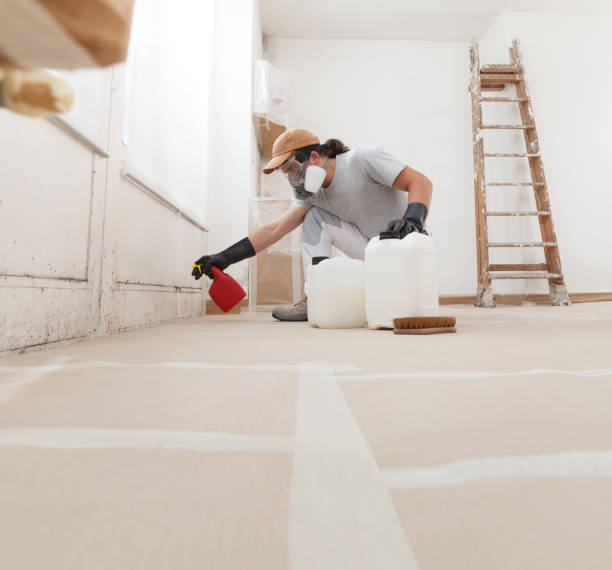 Best Crawl Space Mold Remediation  in Five Forks, SC