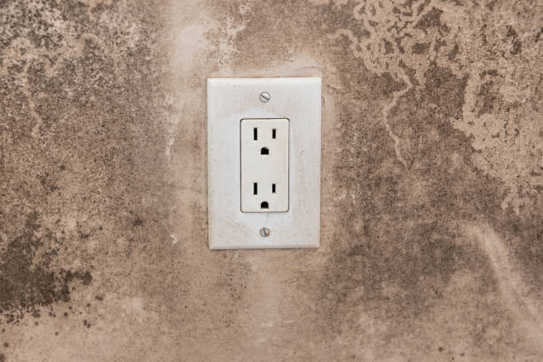 Best Mold Removal for HVAC Installations  in Five Forks, SC
